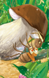 2 – Reading with Help. The Tale of the Ant Mushroom