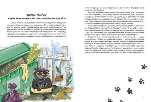 Корсар, або пухнаста історія з кігтями