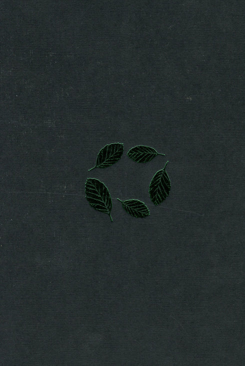 Букова земля