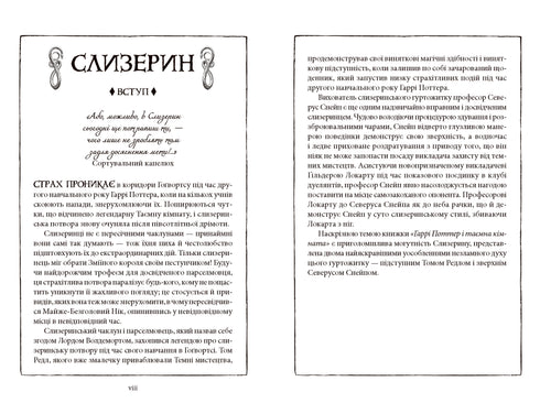 Гаррі Поттер і таємна кімната. Слизеринське видання