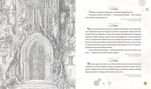 Harry Potter. The Magical Year