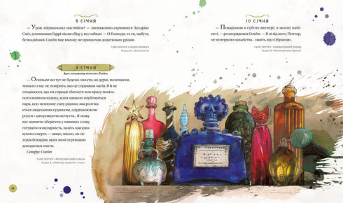 Harry Potter. The Magical Year