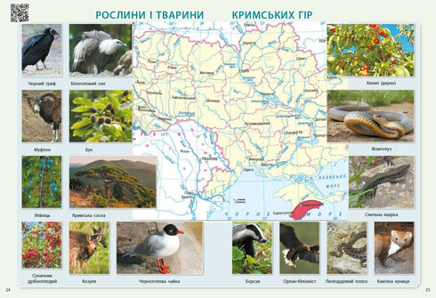 I explore the world. 3rd grade. Atlas - 9786170962454