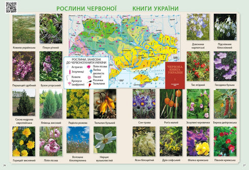 I explore the world. 3rd grade. Atlas - 9786170962454