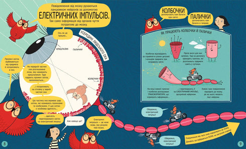 En bok om hjärnan och hur den fungerar