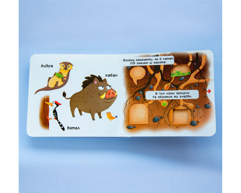 Forest animals. Learn, play, spin, push - 9789669367525