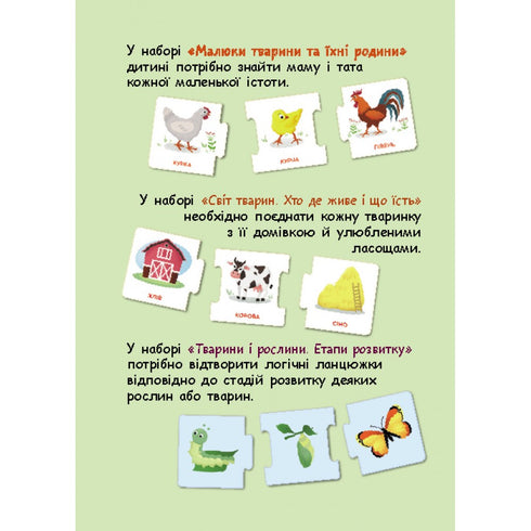 Logical chains. Animal world. Who lives where and what they eat