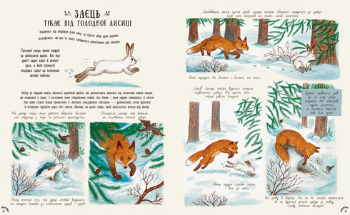 Little Wonders of Nature - 9786170985606