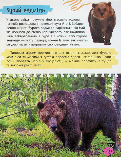 Miniuppslagsverk. Djurens värld