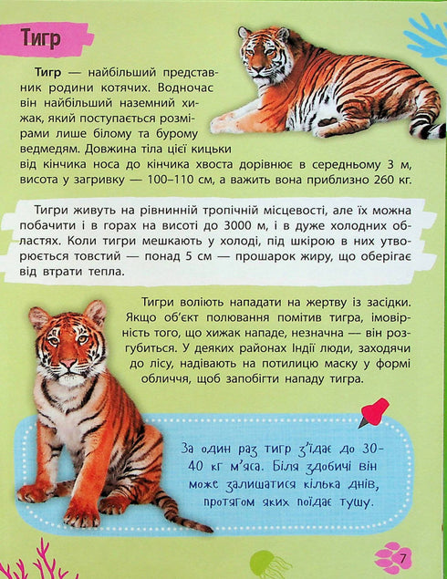 Miniuppslagsverk. Djurens värld