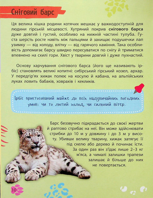 Miniuppslagsverk. Djurens värld