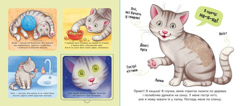 Mina favoriter - 9789667511920