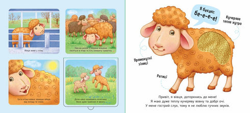 On the farm - 9789667511937