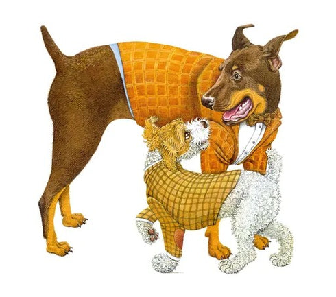 Om katter och hundar - 9789664484074