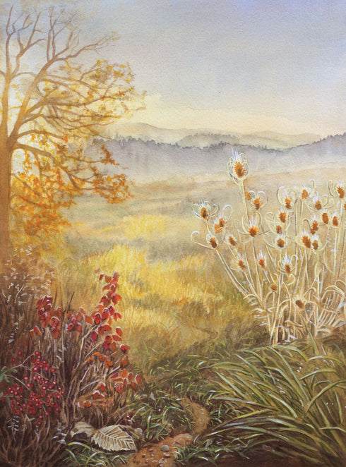 Різдво у Лісовому Лузі (закінчився тираж)