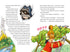 Rescue Animals. The Raccoon Takes Action - 9786178639792