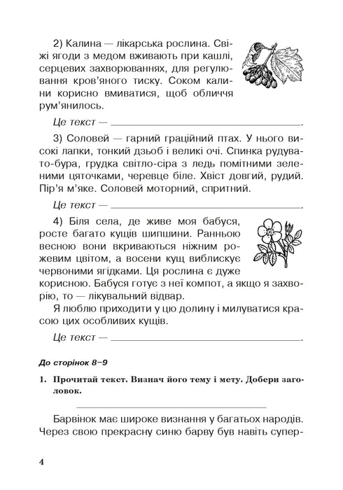 Ukrainian Language. Grade 3. Workbook (for the textbook by Vashulenko, Vasylykivska, Dubovyk) NUS