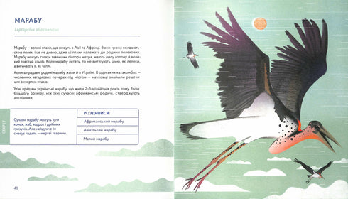 Українські диковиська