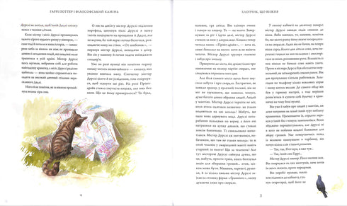 Harry Potter og de vises stein. Stor illustrert utgave. Bok 1 (ukrainsk utgave)