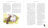 Harry Potter og de vises stein. Stor illustrert utgave. Bok 1 (ukrainsk utgave)