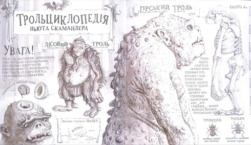 Harry Potter og de vises stein. Stor illustrert utgave. Bok 1 (ukrainsk utgave)