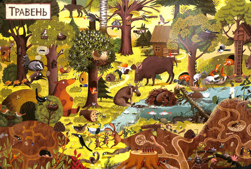 A year in the forest