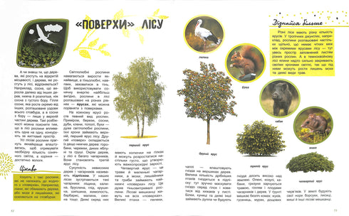 Світ і його таємниці : Життя лісу
