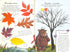 Gruffalo. Höst- och vinterstigar