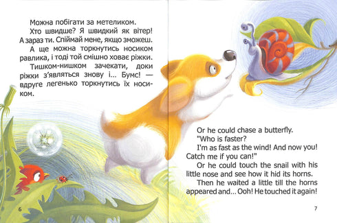 Baby Corgi. Lilla Corgi. Tvåspråkig bok