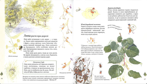 Expedition med myran Sophie. Vi utforskar naturen omkring oss
