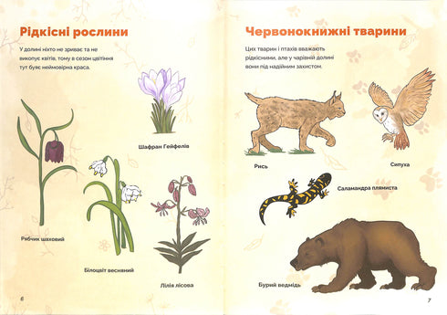 Jul och hemligheten med den magiska dalen