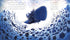 About the sperm whale, who loves to collect everything.