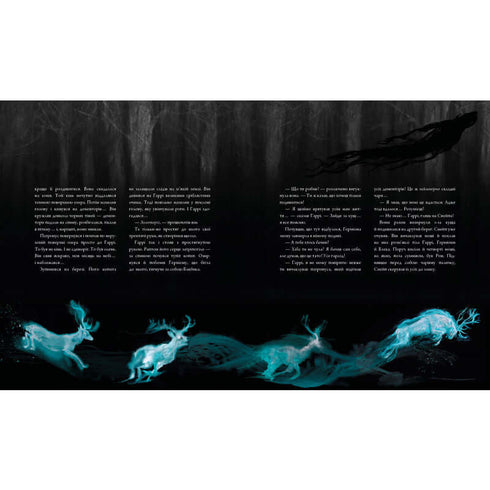 Harry Potter og fangen fra Azkaban. Stor illustrert utgave. Bok 3 (ukrainsk utgave)