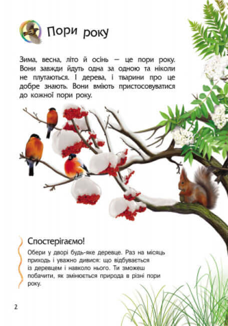 Encyklopedi av en förskolebarn. Natur