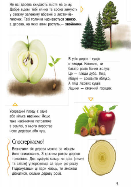 Encyklopedi av en förskolebarn. Natur