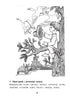 Mathematics for Kids: Educational Guide