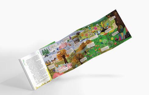 Jul och hemligheten med den magiska dalen