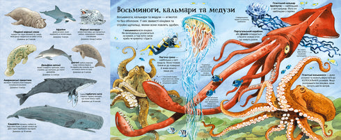 The Big Book of Sea Dwellers